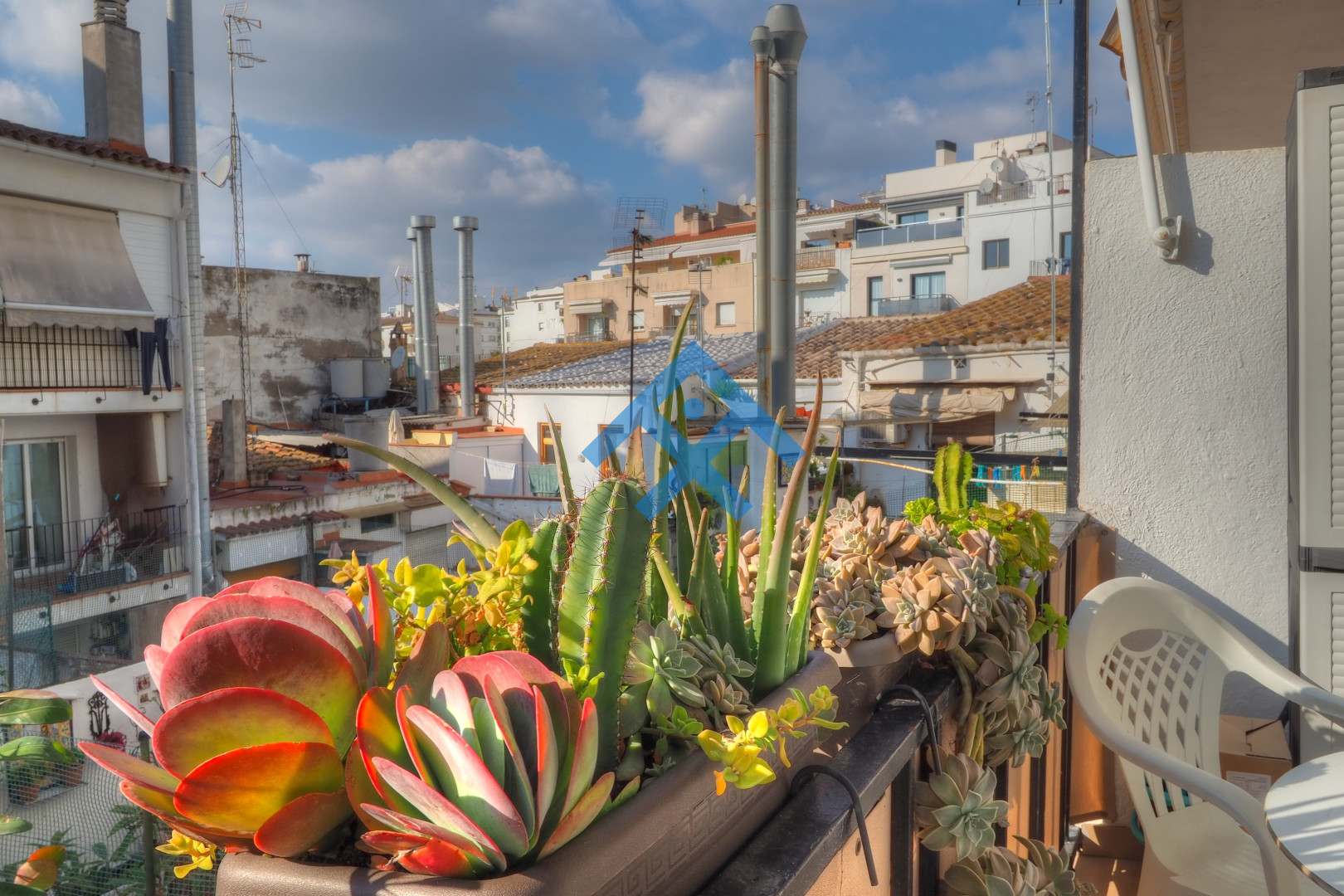 Orquidea Apartment - 10755