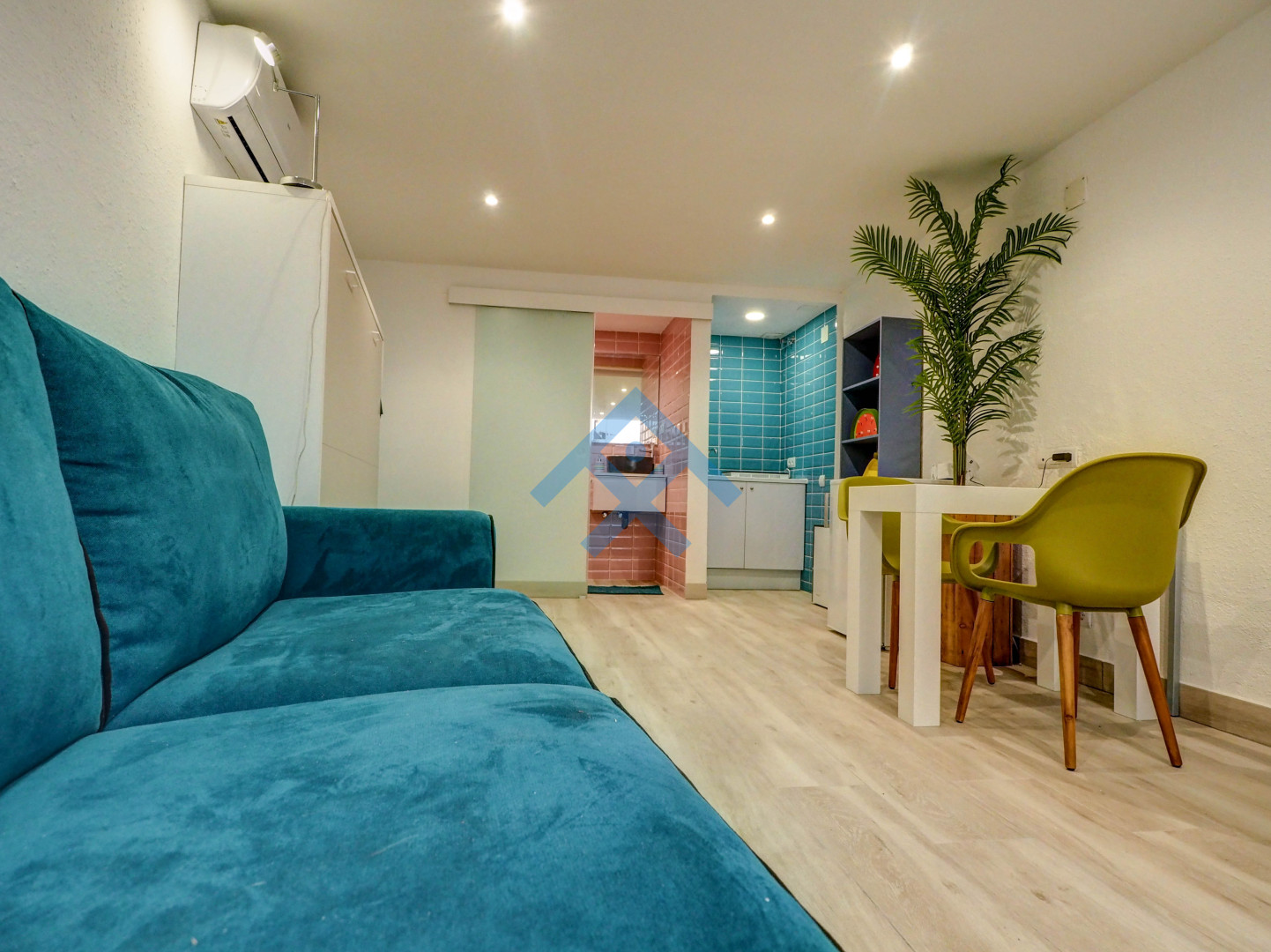 Paloma Studio - 33254