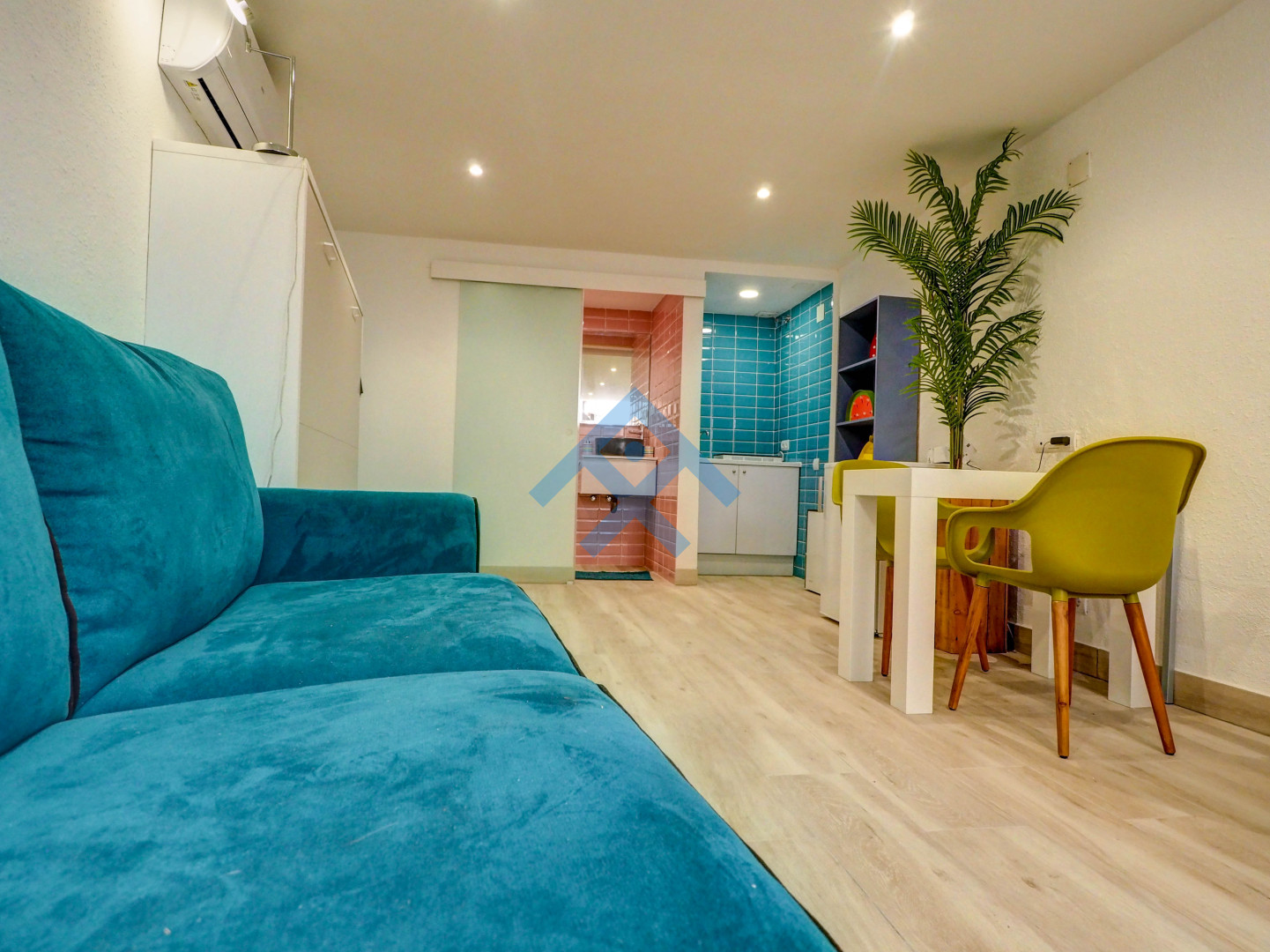 Paloma Studio - 33255