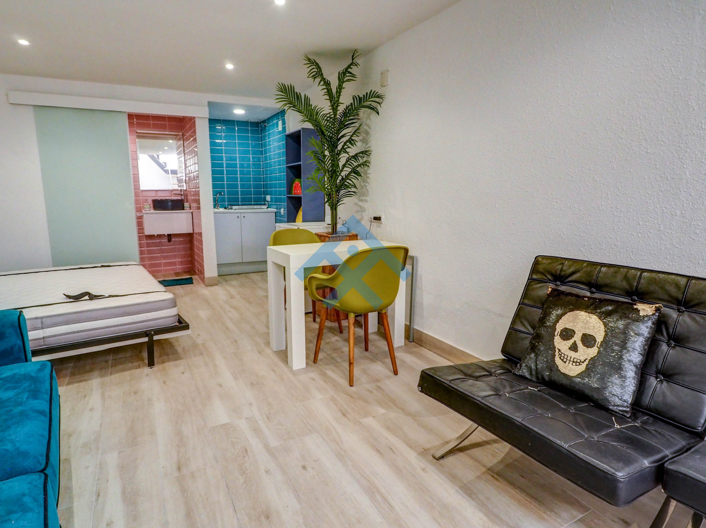 Paloma Studio - 33264