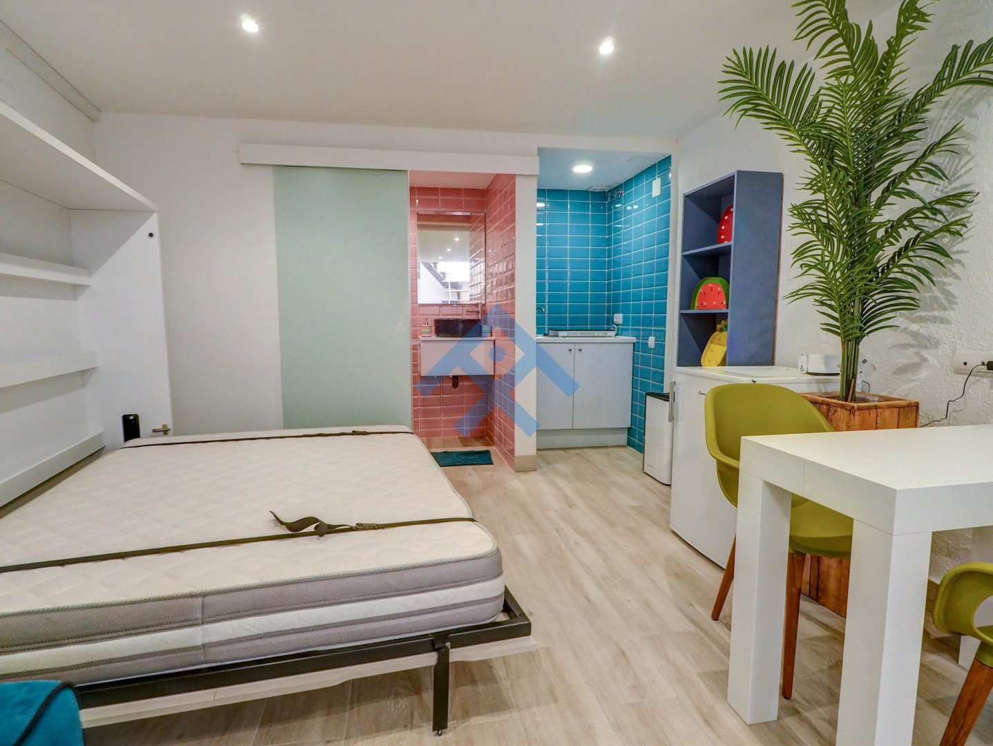 Paloma Studio - 33265