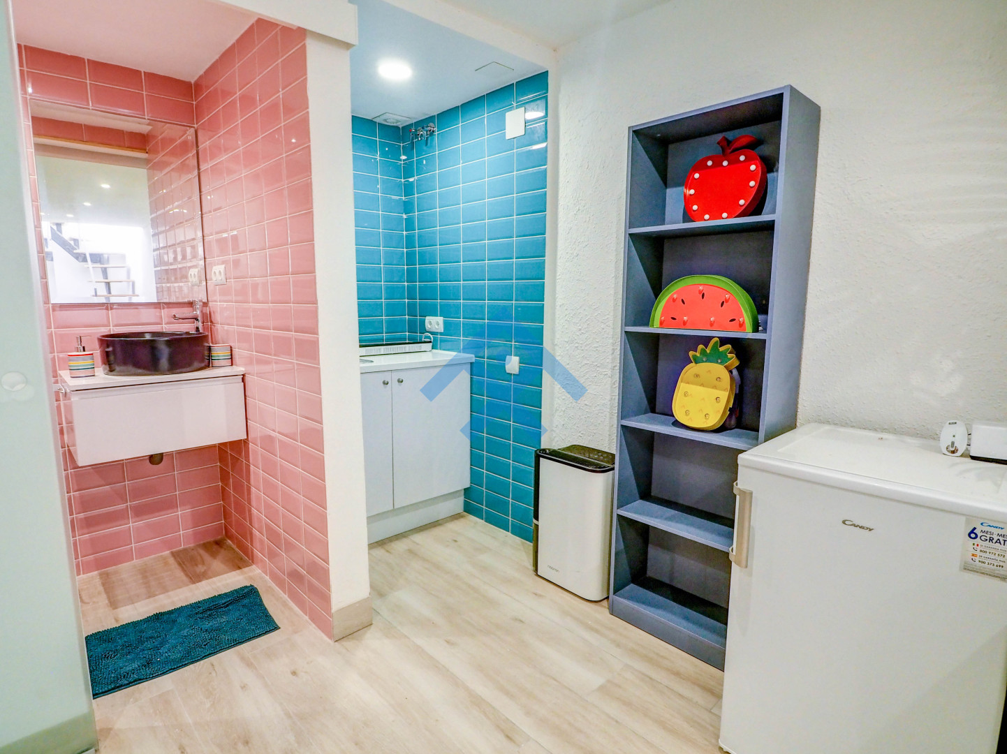 Paloma Studio - 33267