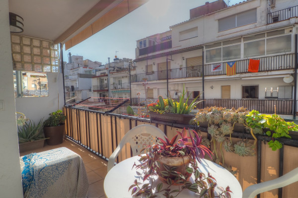  - Orquidea Apartment