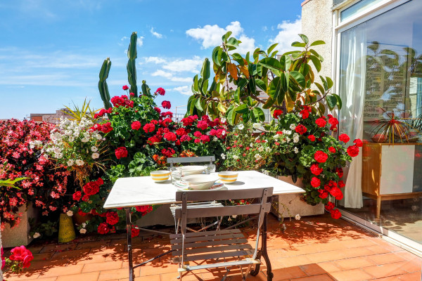  - Secret Garden Apartment