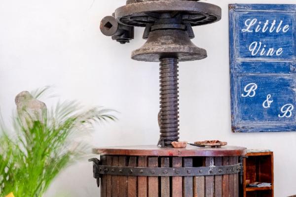 #14098 - Little Vine | Holiday Rentals | Hello Homes Sitges