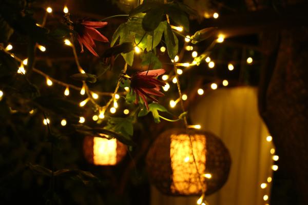 #14121 - Little Vine | Holiday Rentals | Hello Homes Sitges