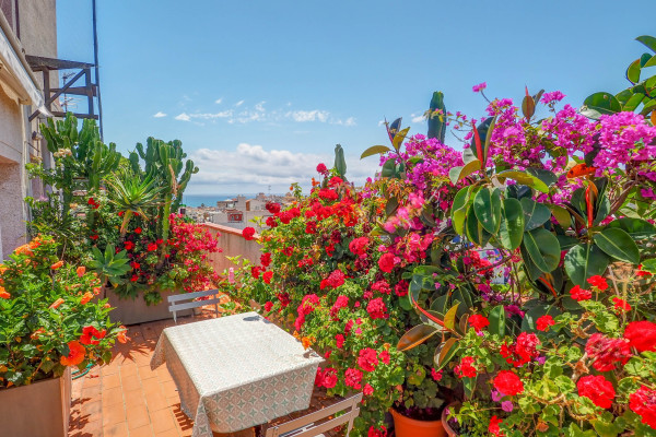  - Secret Garden Apartment
