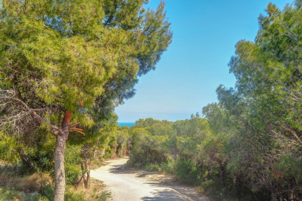 #16145 - Elora Penthouse with Sea Views | Holiday Rentals | Hello Homes Sitges