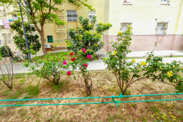 Our street