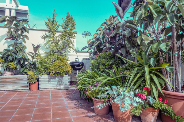 #31132 - The Magic Eden | Saisonale Vermietungen | Hello Homes Sitges
