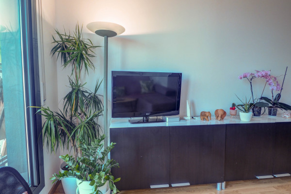 #31162 - The Magic Eden | Saisonale Vermietungen | Hello Homes Sitges