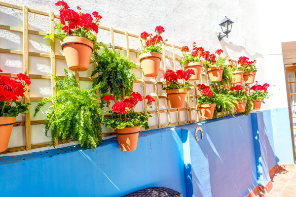 #39328 - Charming Patio | Holiday Rentals | Hello Homes Sitges