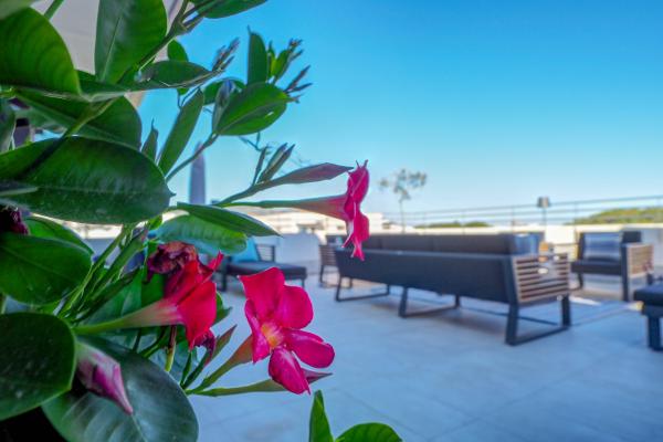 #41755 - La Plana Miracle Terrace | Saisonale Vermietungen | Hello Homes Sitges