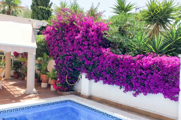 #7542 - Villa Emperor | Ferieudlejning | Hello Homes Sitges