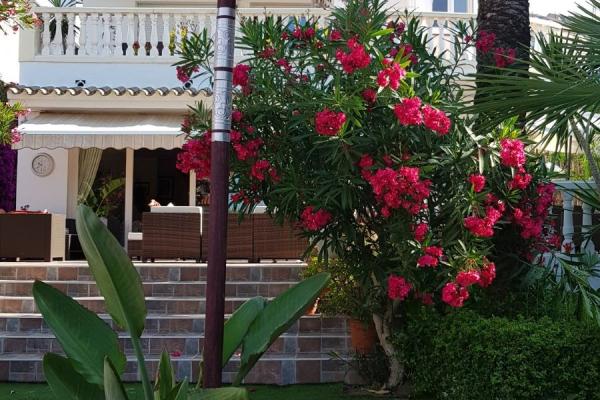 #7826 - Villa Paradise | Holiday Rentals | Hello Homes Sitges
