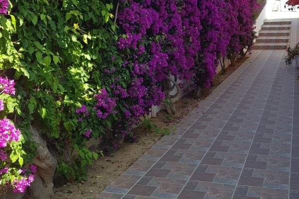 #7829 - Villa Paradise | Holiday Rentals | Hello Homes Sitges