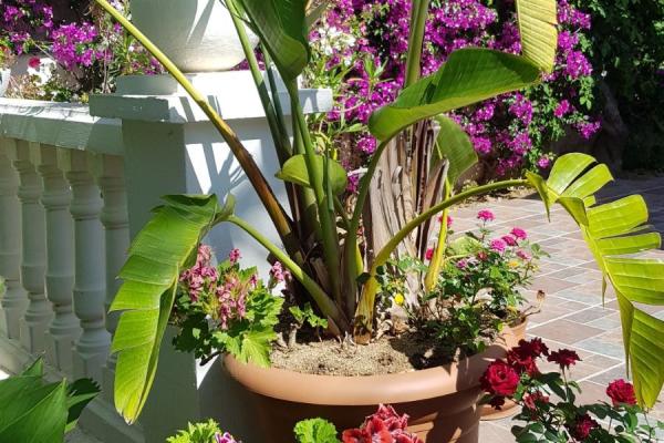 #7831 - Villa Paradise | Holiday Rentals | Hello Homes Sitges