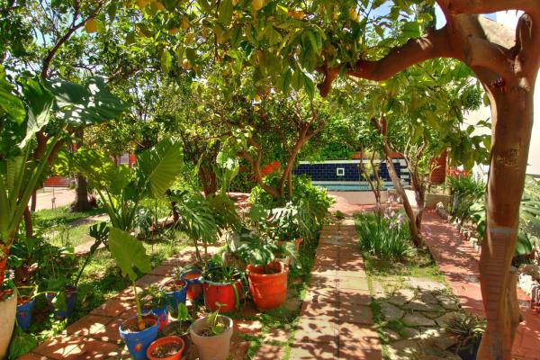 #9843 - Villa Bigamendi | Holiday Rentals | Hello Homes Sitges