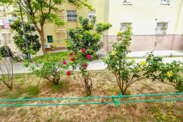 #garden - Apartamento - 2 Habitaciones 1 Baños 59 m2 | Els Molins-Observatorio-Pins Vens, Sitges 