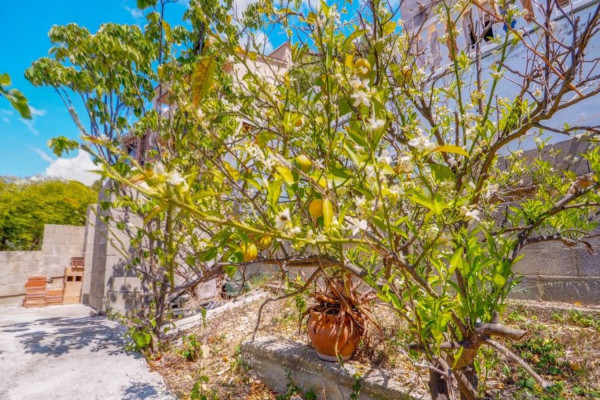 #Houses & Villas - 5 Rooms 3 Bathrooms 216 m2 | Cubelles, Cubelles garden