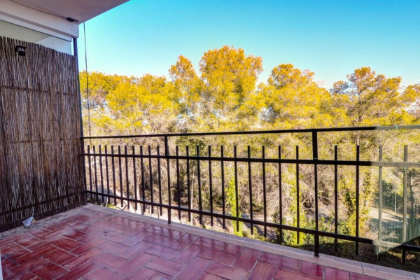 #Apartamento - 1 Habitaciones 1 Baños 55 m2 | Els Cards, Els Cards terrace