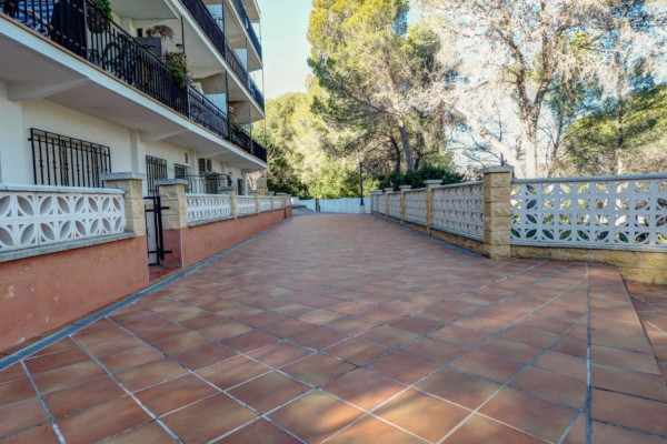 #Apartamento - 1 Habitaciones 1 Baños 55 m2 | Els Cards, Els Cards terrace