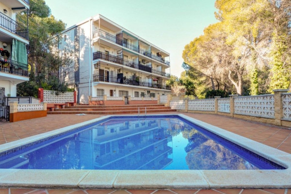 #Apartamento - 1 Habitaciones 1 Baños 55 m2 | Els Cards, Els Cards pool