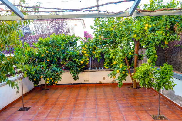 #Appartement - 3 Chambres 2 Salle de bain 187 m2 | Centre, Sitges 