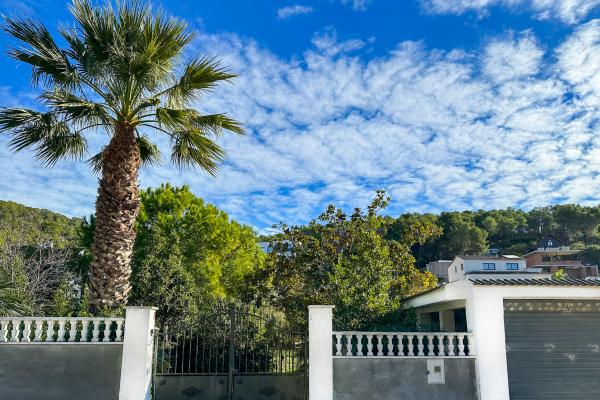 #51894 - Land - Mas Alba, Sant Pere de Ribes 