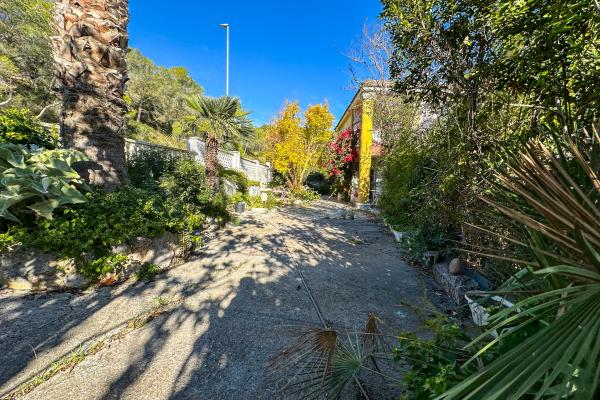 #51895 - Land - Mas Alba, Sant Pere de Ribes 