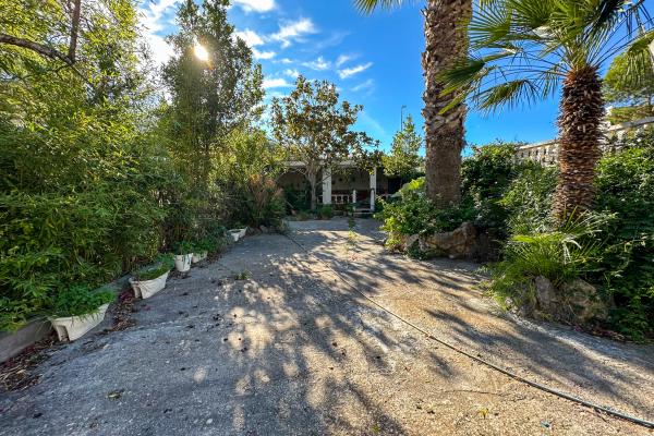 #51896 - Land - Mas Alba, Sant Pere de Ribes 