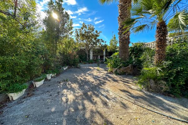 #51897 - Land - Mas Alba, Sant Pere de Ribes 