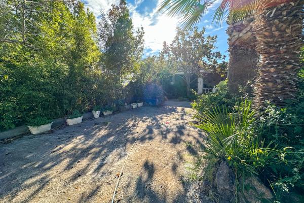 #51898 - Land - Mas Alba, Sant Pere de Ribes 