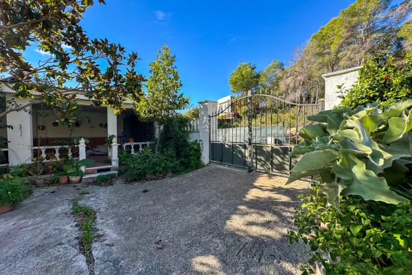 #51899 - Land - Mas Alba, Sant Pere de Ribes 