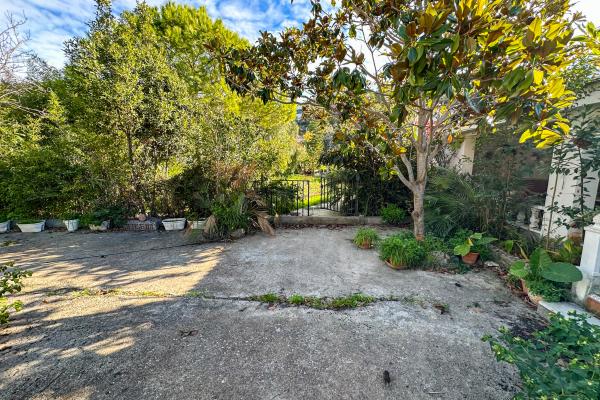 #51902 - Land - Mas Alba, Sant Pere de Ribes 