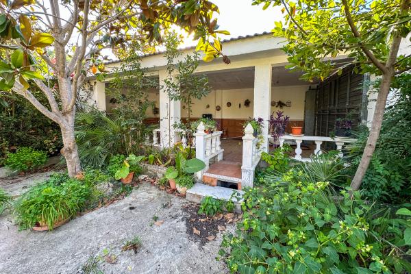 #51903 - Land - Mas Alba, Sant Pere de Ribes 