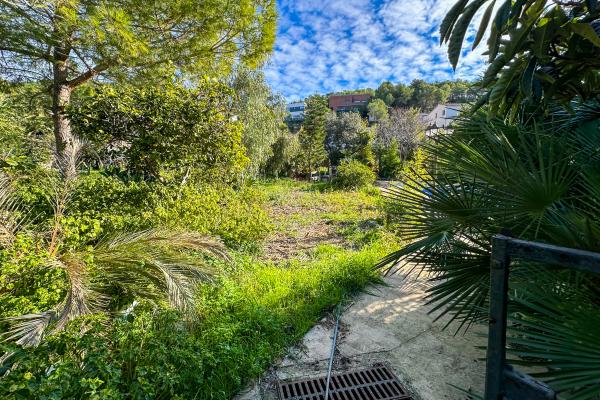 #51904 - Land - Mas Alba, Sant Pere de Ribes 