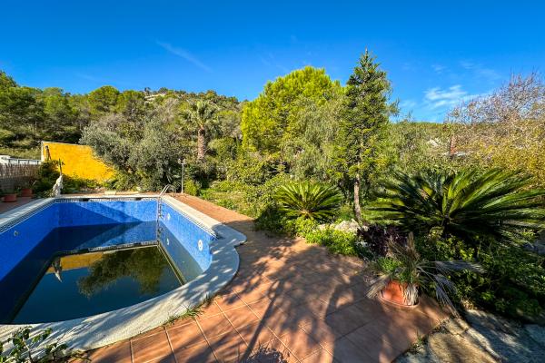 #51908 - Land - Mas Alba, Sant Pere de Ribes 