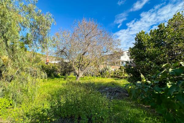 #51909 - Land - Mas Alba, Sant Pere de Ribes 