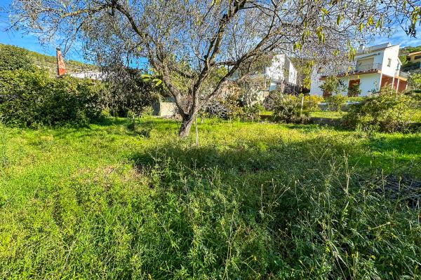 #51910 - Land - Mas Alba, Sant Pere de Ribes 