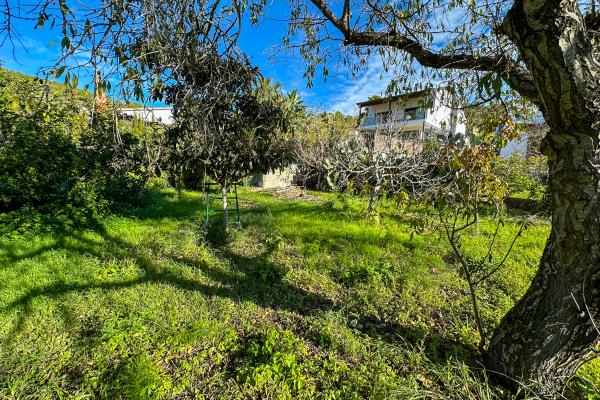 #51912 - Land - Mas Alba, Sant Pere de Ribes 