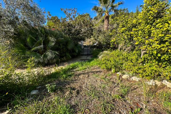 #51916 - Land - Mas Alba, Sant Pere de Ribes 