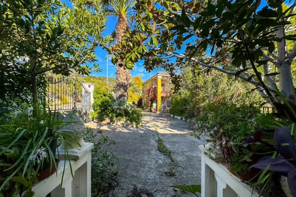 #51922 - Land - Mas Alba, Sant Pere de Ribes 