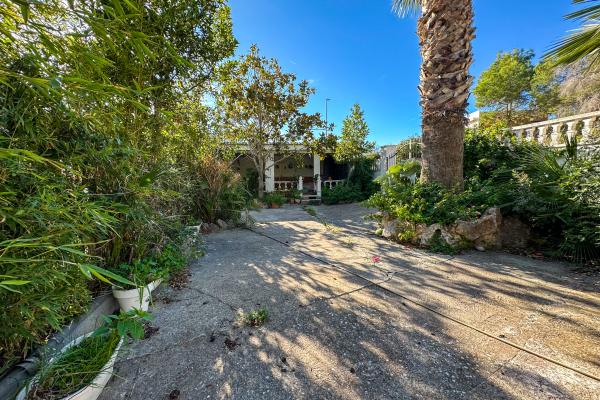 #51924 - Land - Mas Alba, Sant Pere de Ribes 