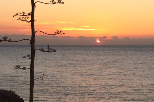 #52035 - Apartment - Montgavina, sitges 