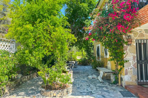 #53685 - House - Mas Alba, Sant Pere de Ribes 