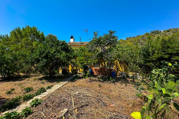 #53815 - Haus - Mas Alba, Sant Pere de Ribes 